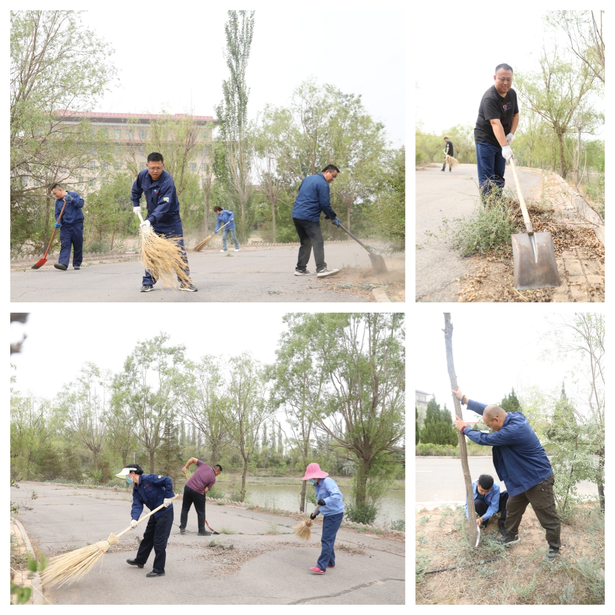 072bd278-51a4-11f0-bda4-8cbd52c5c617.jpg 072bd278-51a4-11f0-bda4-8cbd52c5c617.jpg