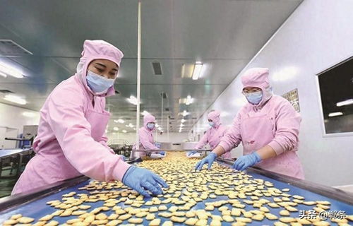 生物技術驅動邱縣食品產業新圖景 創新、升級與可持續發展